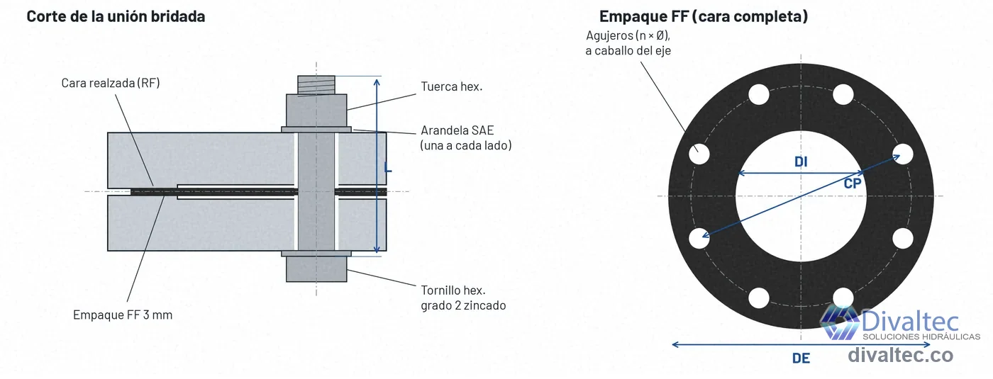 Corte de la unión bridada con el empaque FF entre dos bridas de cara realzada, el tornillo con arandela a cada lado y la tuerca, y vista del empaque FF con sus diámetros