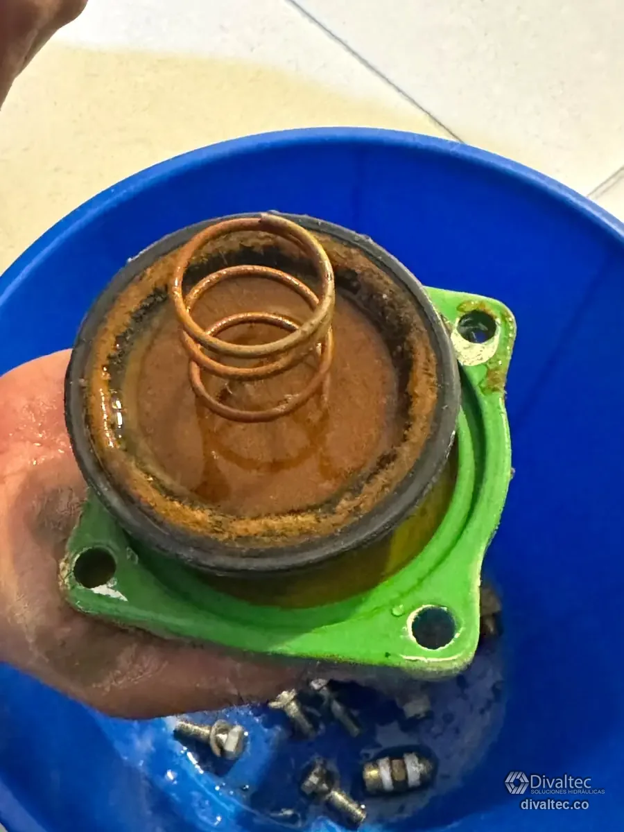 Tapa de válvula desmontada con el resorte corroído
